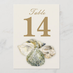 Sea shells wedding table numbers