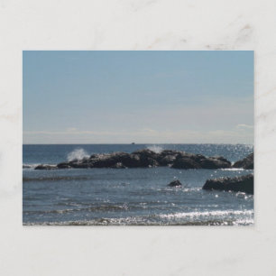 Sea Shore Postcard
