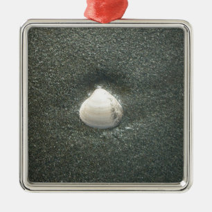 Sea shore shells Hakuna Matata.JPG Metal Ornament