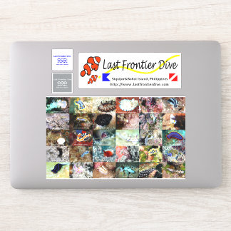 【Sea Slug】Put on Your Diving Log Book!