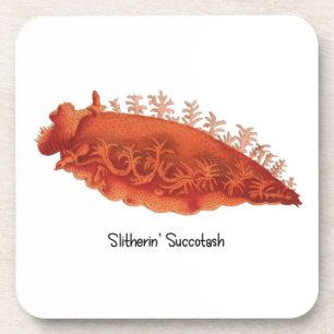 Sea Slug Slitherin' Succotash (6) Plastic Coaster