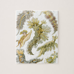 Sea Slugs by Ernst Haeckel, Vintage Nudibranchia Jigsaw Puzzle
