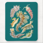 Sea slugs mouse pad<br><div class="desc">Nudibranchia. Sea slugs,  a grouping of soft-bodied marine gastropods which shed their shell after their larval stage.</div>