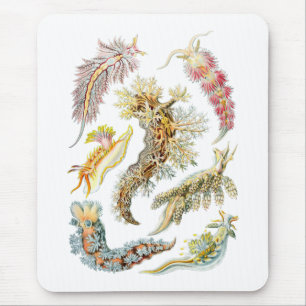 Sea slugs mouse pad