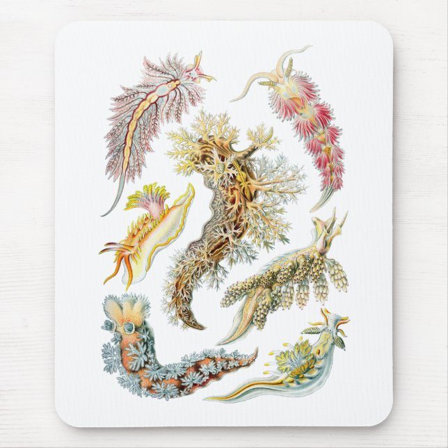 Sea slugs mouse pad (Front)