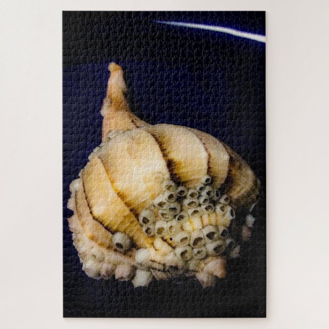 Sea Snail Shell with Barnacles Jigsaw Puzzle (Vertical)