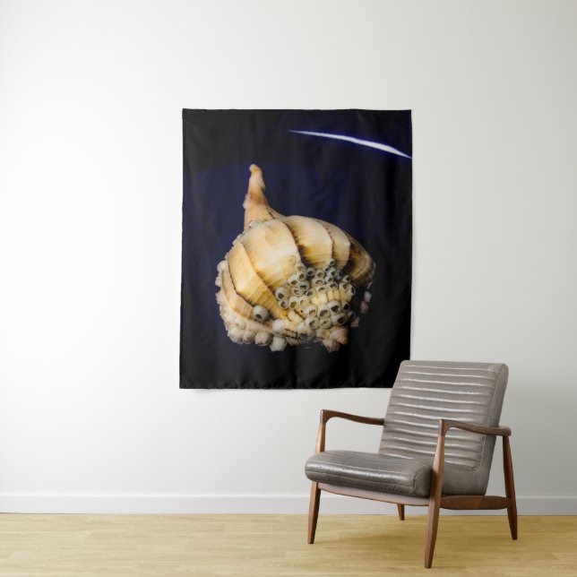 Sea Snail Shell with Barnacles Tapestry (In Situ)