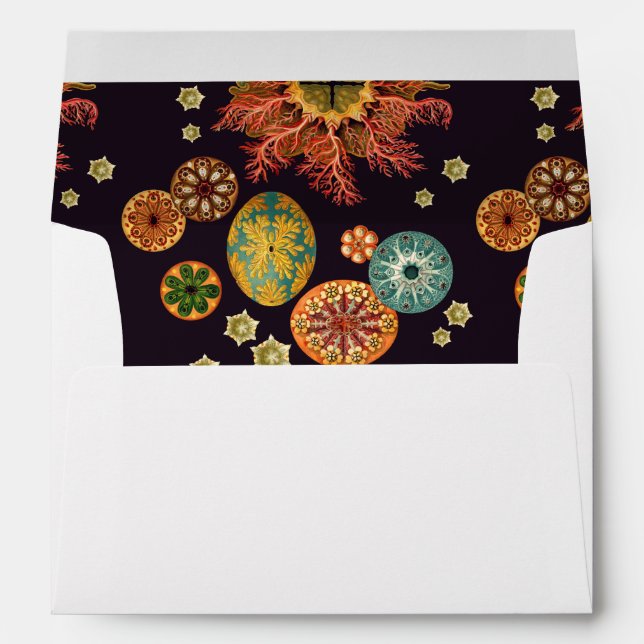 Sea Squirt Remix Envelope (Back (Bottom))