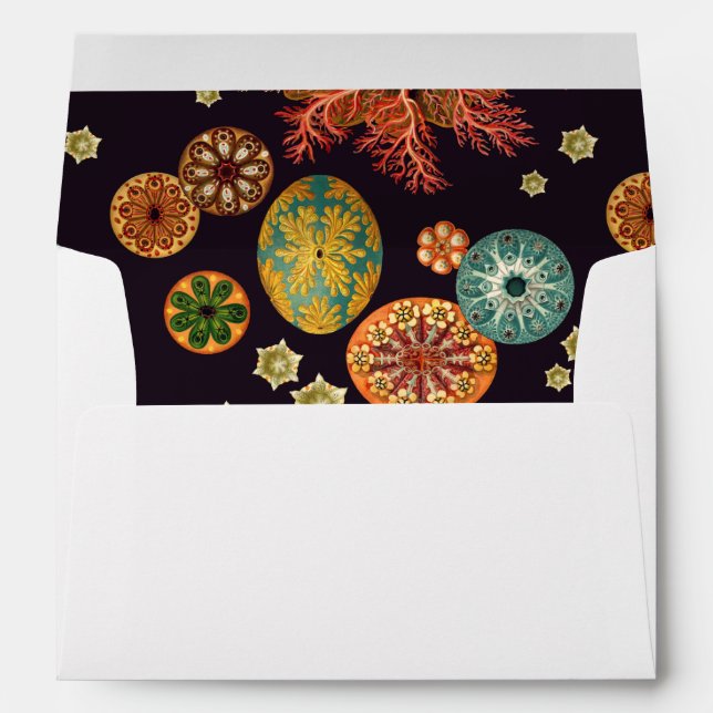 Sea Squirt Remix Envelope (Back (Bottom))