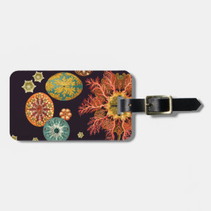 Sea Squirt Remix Luggage Tag