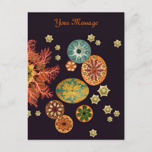 Sea Squirt Remix Postcard