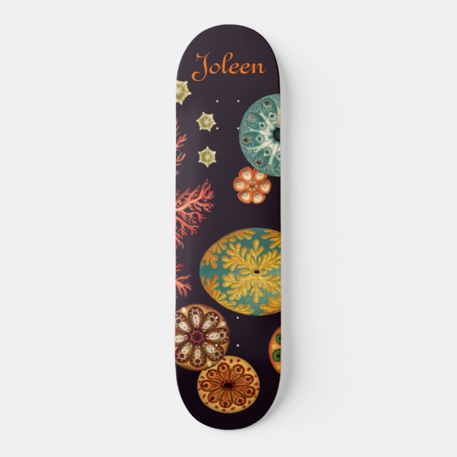 Sea Squirt Remix Skateboard (Front)