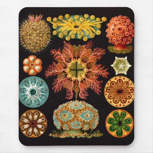 Sea Squirt Square Mousepad (Front)