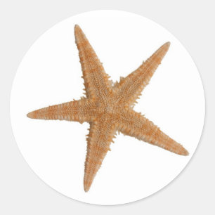 Sea star classic round sticker