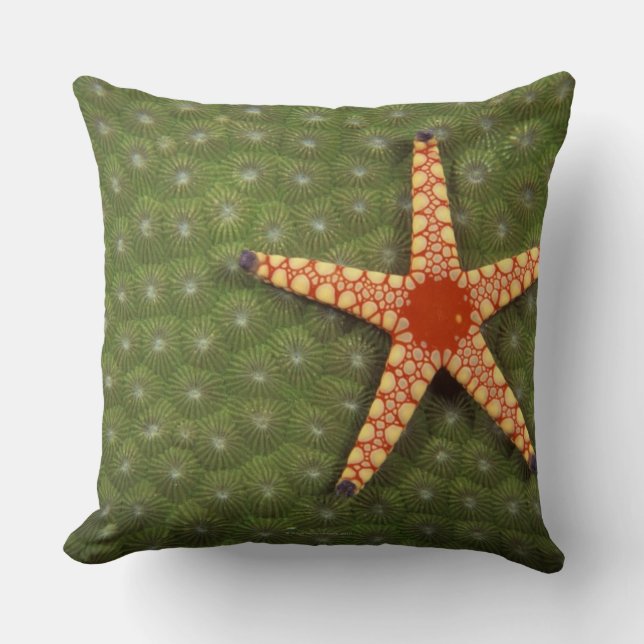 Sea Star Cushion (Front)