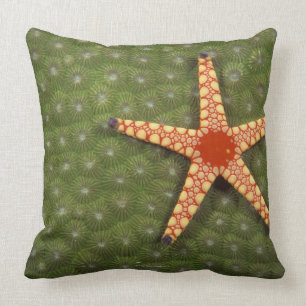 Sea Star Cushion