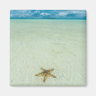 Sea star in shallow water, Palau Magnet