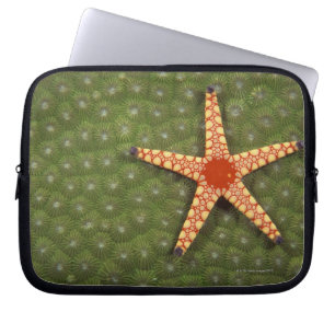 Sea Star Laptop Sleeve