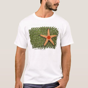 Sea Star T-Shirt