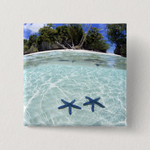 Sea stars, Rock Islands, Palau 2 15 Cm Square Badge