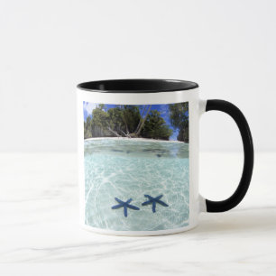 Sea stars, Rock Islands, Palau 2 Mug
