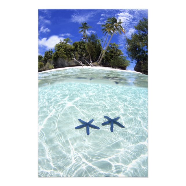 Sea stars, Rock Islands, Palau 2 Photo Print (Front)