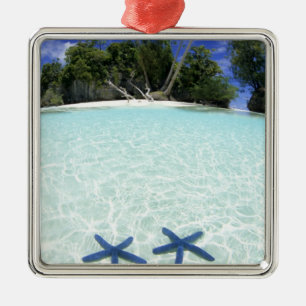 Sea stars, Rock Islands, Palau Metal Tree Decoration