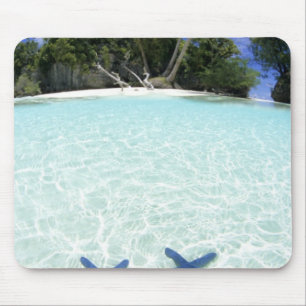 Sea stars, Rock Islands, Palau Mouse Pad
