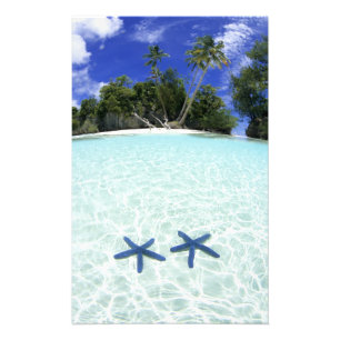 Sea stars, Rock Islands, Palau Photo Print