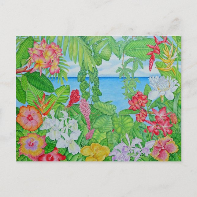 Sea through the Jungle Postcard (Front)