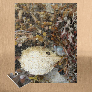 Sea Treasures Photographic Jigsaw Puzzle