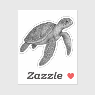 Sea Turtle