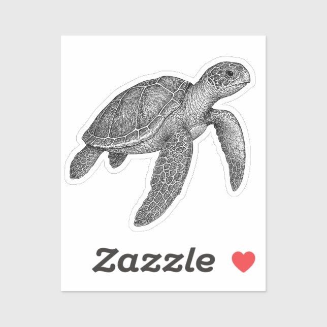 Sea Turtle  (Sheet)