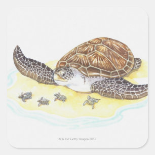 Sea Turtle and Babies Square Sticker