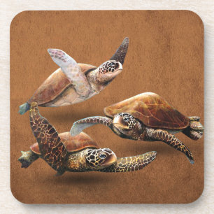 Sea Turtle Animals Extinction Save The Turtles Coaster