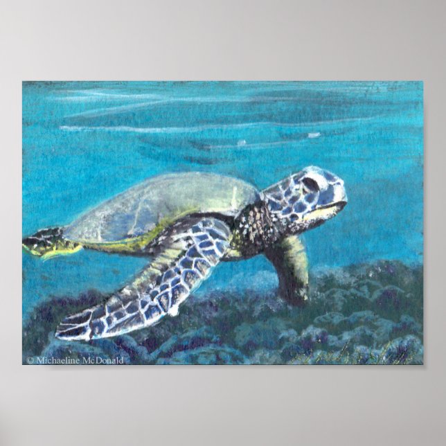 Sea Turtle Art Print (Front)