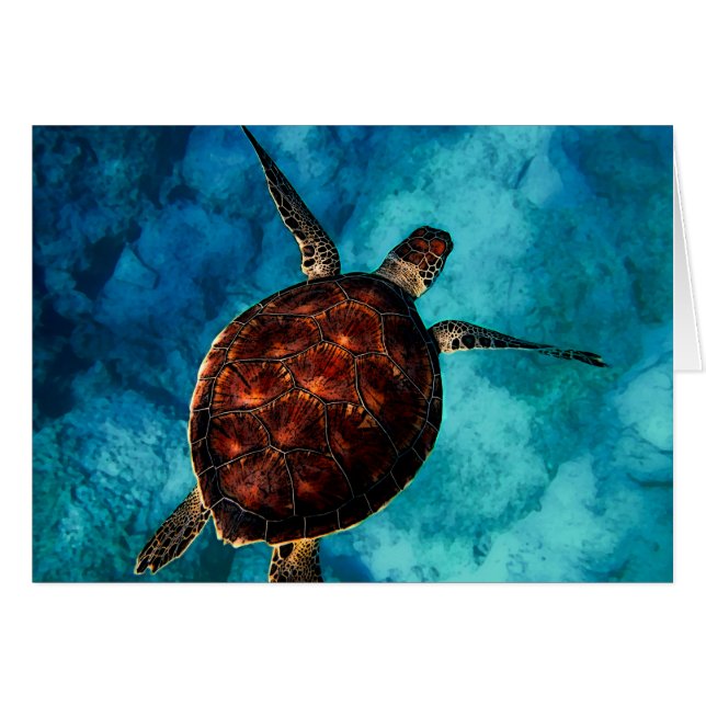 Sea Turtle Beauty (Front Horizontal)