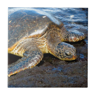 Sea Turtle Ceramic Tile