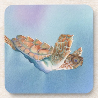 sea turtle coaster