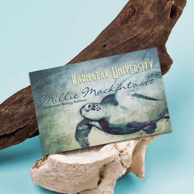 Sea Turtle / Conservation Biology Professor Cards (Creator Uploaded)