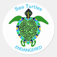 Sea TURTLE - Conservation -Ecology - Nature