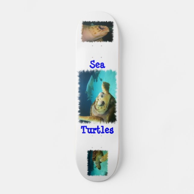 Sea Turtle Design Skateboard (Front)