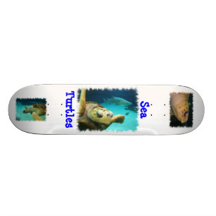 Sea Turtle Design Skateboard