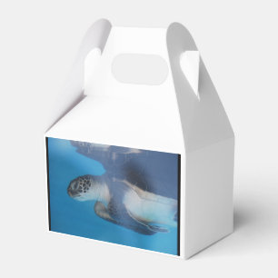 Sea Turtle Favour Box