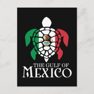 Sea Turtle Gulf of Mexico Postcard