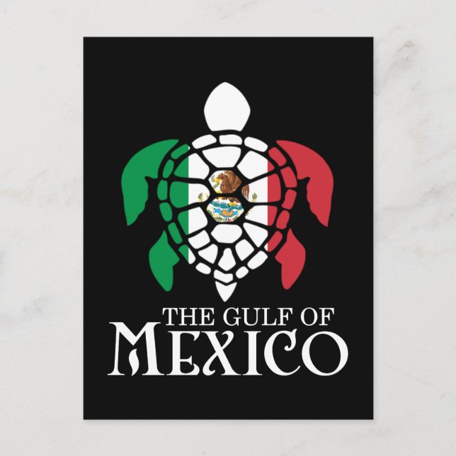  Sea Turtle Gulf of Mexico Postcard (Front)