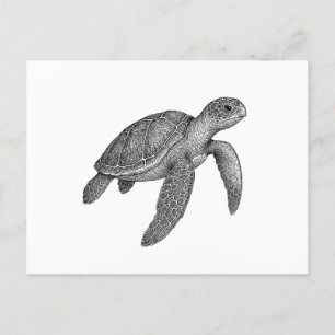 Sea Turtle Holiday Postcard