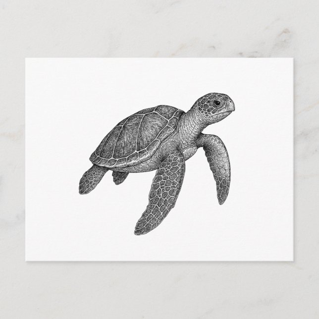 Sea Turtle  Holiday Postcard (Front)