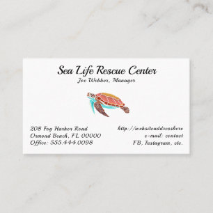 Sea Turtle Illustrated White Business Cards