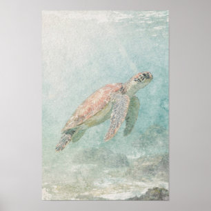 Sea Turtle in Pale Blue Green Coastal Water Poster